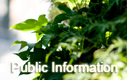 Public Information