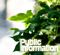 Public Information