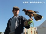 鷹狩りの実演を終えて 鷹狩りの実演を終えて